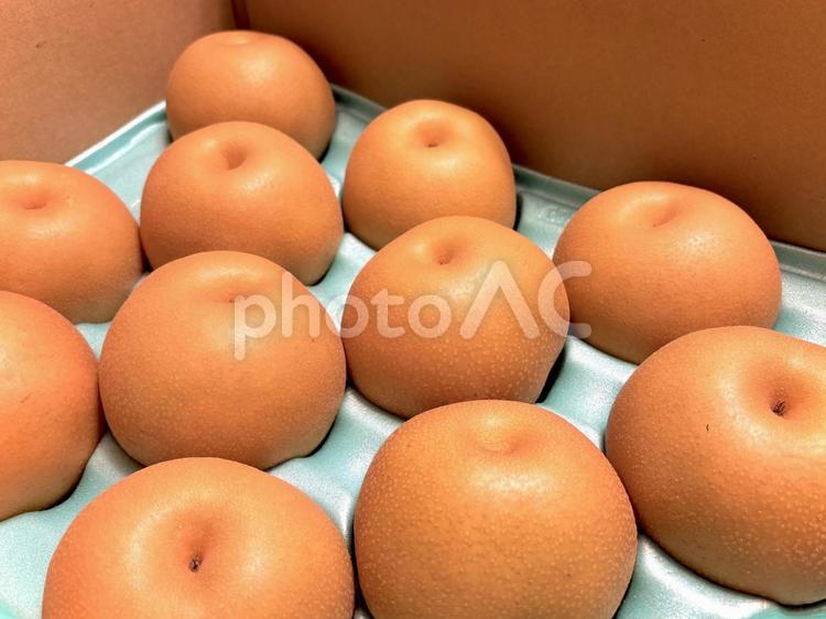 箱詰めされた梨 04 梨,なし,有りの実の写真素材