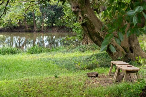 秋の秋ヶ瀬公園 秋の秋ヶ瀬公園 秋,原っぱ,ベンチの写真素材