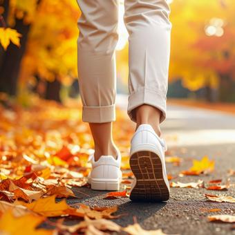 紅葉の道を散歩 紅葉の道を散歩の写真