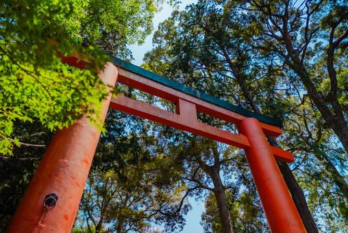 【奈良】奈良のお寺巡り 2025 【奈良】奈良のお寺巡り 2025の写真