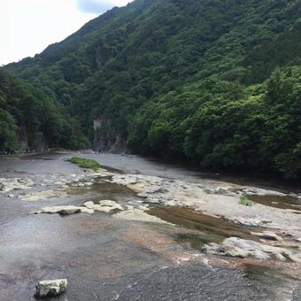 山奥の綺麗な川 山奥の綺麗な川の写真