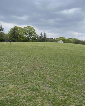 公園の景色 公園の景色の写真
