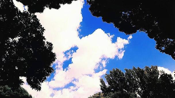 夏の青空 夏の青空の写真
