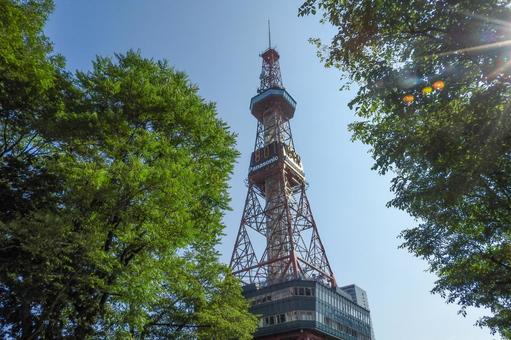 新緑と札幌テレビ等 新緑と札幌テレビ等 新緑,札幌テレビ塔,6月の写真素材