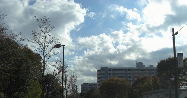 十一月の雲-6 十一月の雲-6 十一月,青空,空の写真素材