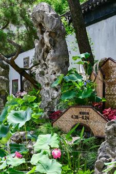 Photo, suzhou, humble administrator&#39;s garden, world heritage, 