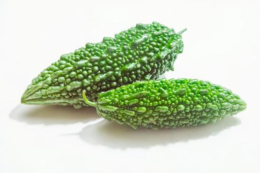 ゴーヤ 白背景 ゴーヤ 白背景 ゴーヤ,ニガウリ,夏野菜の写真素材