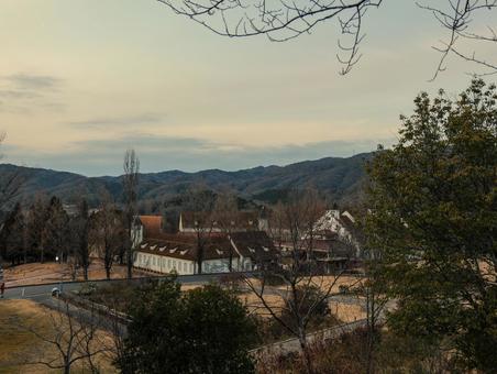 ドイツの森 ドイツの森,欧米,ヨーロッパの写真素材