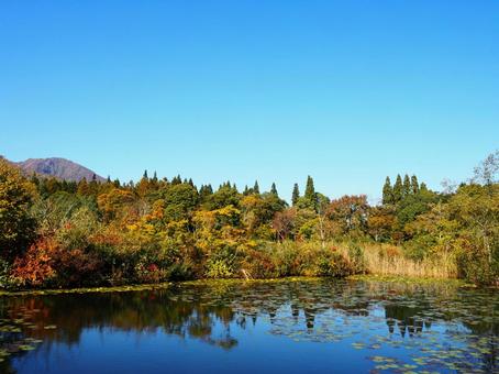 秋の景色１５ 秋,紅葉,鮮やかの写真素材