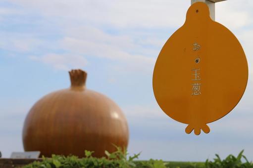 おっ玉葱と看板と空と雲の写真