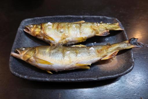 秋の子持ち鮎の塩焼き 鮎,子持ち,塩焼きの写真素材