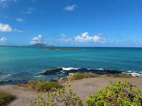 ハワイ　ビーチ　海岸の写真