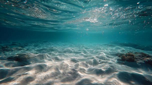 穏やかな海底と水面の光のきらめき 穏やかな海底と水面の光のきらめきの写真