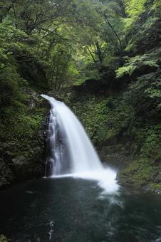 赤目四十八滝 不動滝 赤目四十八滝 不動滝の写真