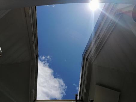 眩しい日差し 日差し,陽射し,眩しいの写真素材