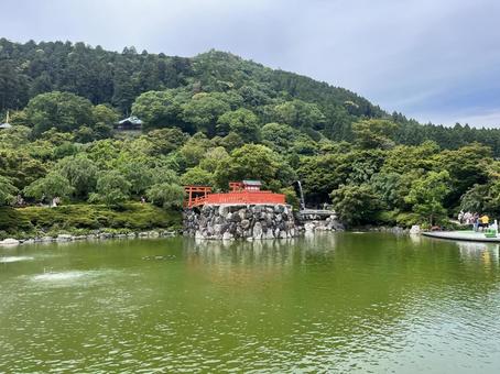 勝尾寺 勝尾寺 勝尾寺,寺院,箕面の写真素材