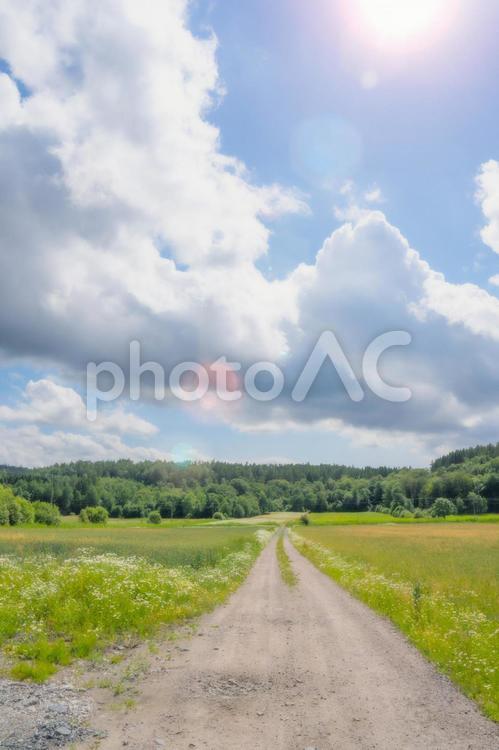 輝く太陽と田舎の一本道 一本道,太陽,輝くの写真素材