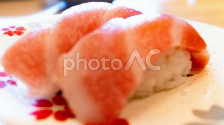 大トロのにぎり寿司 大トロ,握り寿司,寿司の写真素材