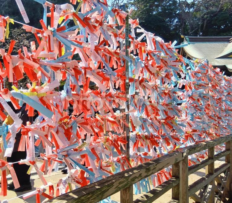 結びつけられたおみくじ おみくじ,神社,結ぶの写真素材