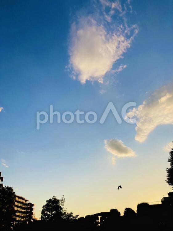 初夏の爽やかな黄昏 夕方,空,雲の写真素材
