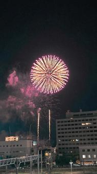 夜空を照らす美しい大輪の花火 夜空を照らす美しい大輪の花火の写真