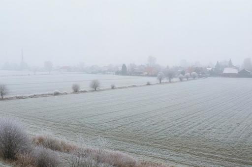 霧と霜に覆われた冬の農村風景の写真