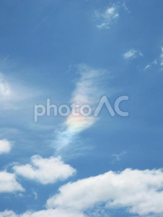空に浮かぶ羽根のようなカタチの虹色雲 雲,虹色,空の写真素材