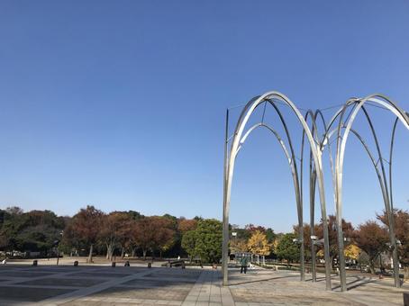 都立光が丘公園 光が丘公園,公園,秋晴れの写真素材