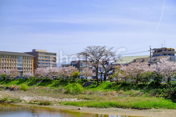 春の福岡市街地 街並み,建物,福岡県の写真素材