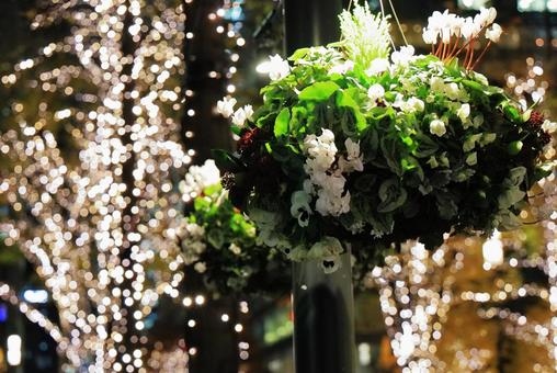 丸の内イルミネーション 丸の内イルミネーション イルミネーション,丸の内イルミネーション,夜の写真素材