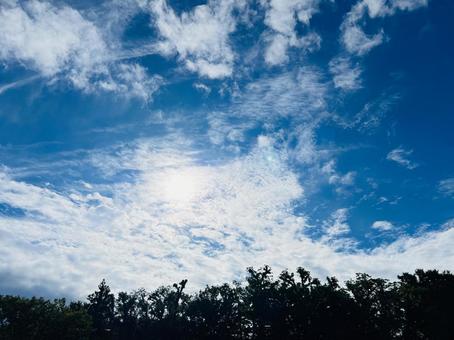 青空と雲を背景にした樹木のシルエット 青空,空,雲の写真素材