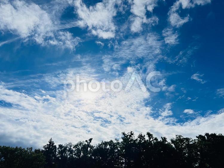 青空と雲を背景にした樹木のシルエット 青空,空,雲の写真素材