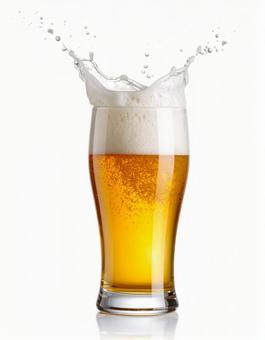 ビール(白背景) ビール(白背景)の写真