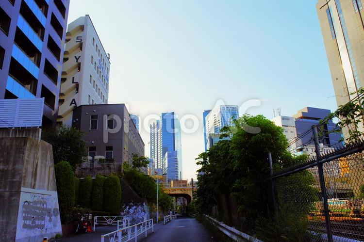 渋谷区代官山の風景　1 渋谷区,代官山,高層ビルの写真素材