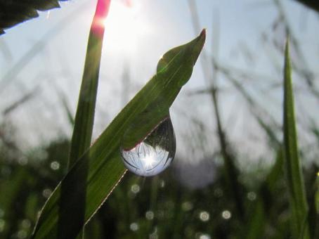 Photo, water droplets, drop, rain, 