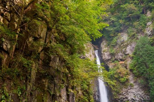 根尾の滝 秋( 飛騨小坂) 根尾の滝 秋( 飛騨小坂) 根尾の滝,渓流,渓谷の写真素材