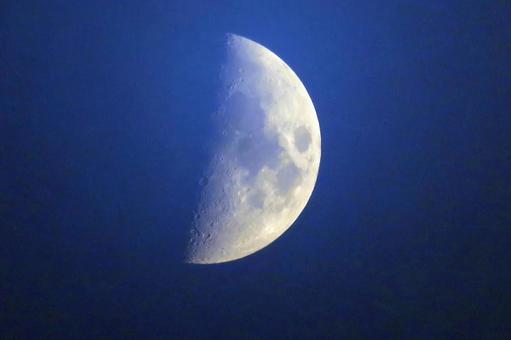 夏の月・半月 夏の月・半月 月,半月,空の写真素材