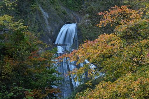 滝２の写真