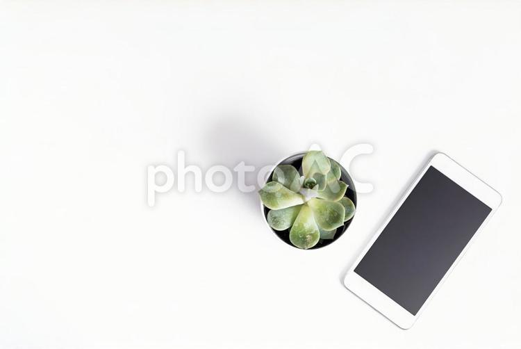 スマホと多肉植物 ビジネス,背景,シンプルの写真素材