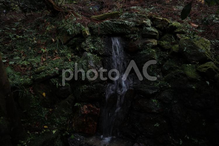御岩神社　心洗池 御岩神社,日立市,心洗池の写真素材