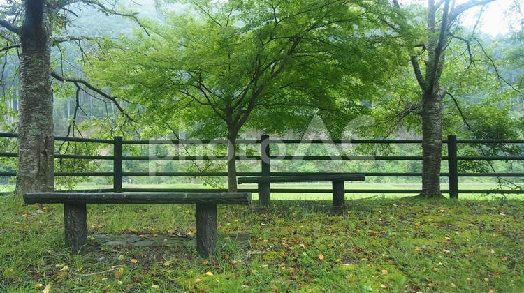 田んぼの見える緑の休憩所 木漏れ日,ベンチ,木の写真素材