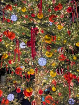 クリスマスイルミネーション クリスマス,イルミネーション,クリスマスツリーの写真素材