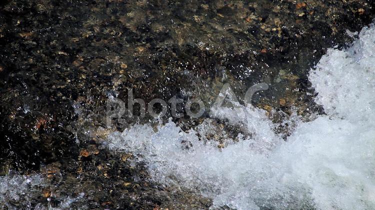 夏の白馬の麓を流れる清流 白馬村,夏,清流の写真素材