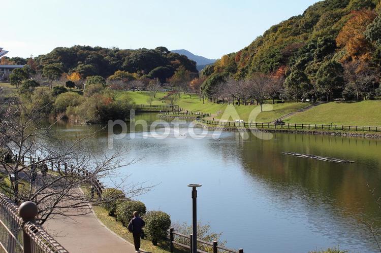 紅葉の森林公園（北九州市中央公園） 湖,公園,噴水の写真素材