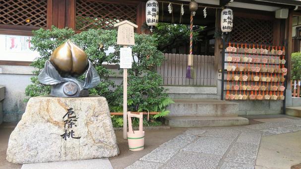 晴明神社 厄除桃 晴明神社 厄除桃の写真