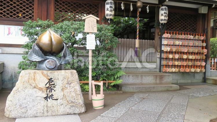 晴明神社　厄除桃 晴明神社,安倍晴明,陰陽師の写真素材