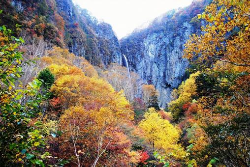 Photo, shinshu, suzaka, yonago waterfall, 
