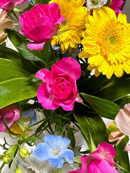 カラフルなお花 花,ブーケ,花束の写真素材