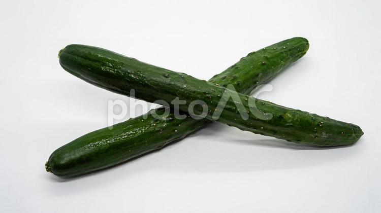 新鮮なきゅうり・白背景で際立つ緑の野菜 きゅうり,キュウリ,野菜の写真素材