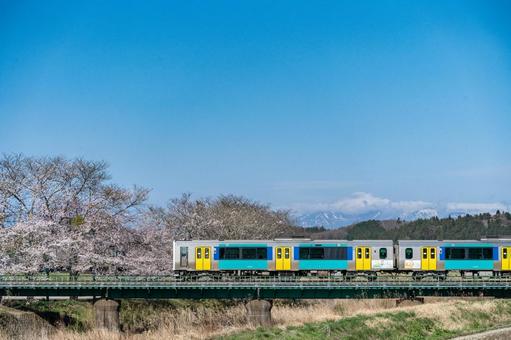 水郡線と桜 浅川町 水郡線と桜 浅川町 浅川町,水郡線,桜の写真素材
